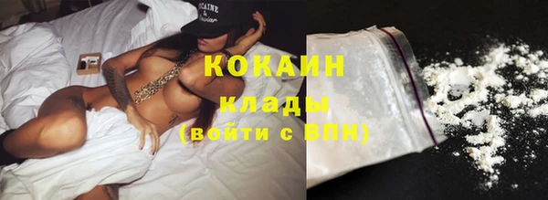 дурь Пересвет