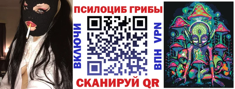 мега сайт  Камбарка  Псилоцибиновые грибы Psilocybine cubensis 